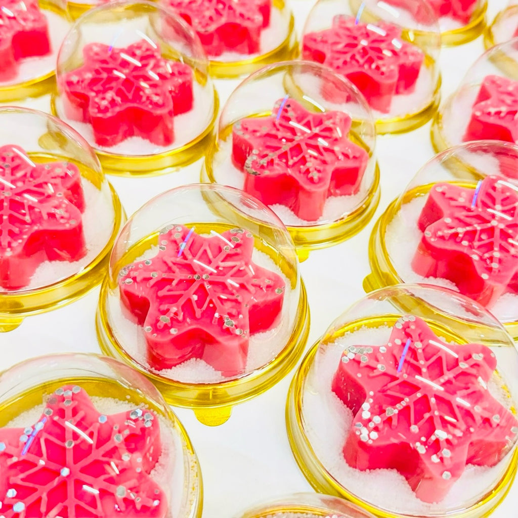 Snow Globe Wax Melt - Snow Fairy