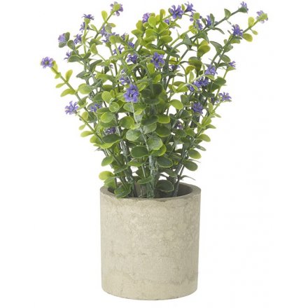 Pianta artificiale verde e viola in vaso di cemento