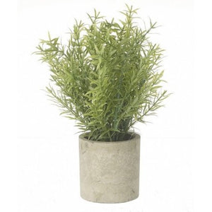 Artificial Rosemary Plant In Cement Pot