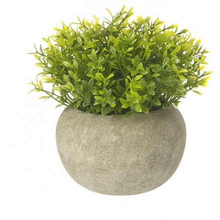 Pianta artificiale in vaso di cemento