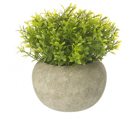 Artificial Plant In Cement Pot