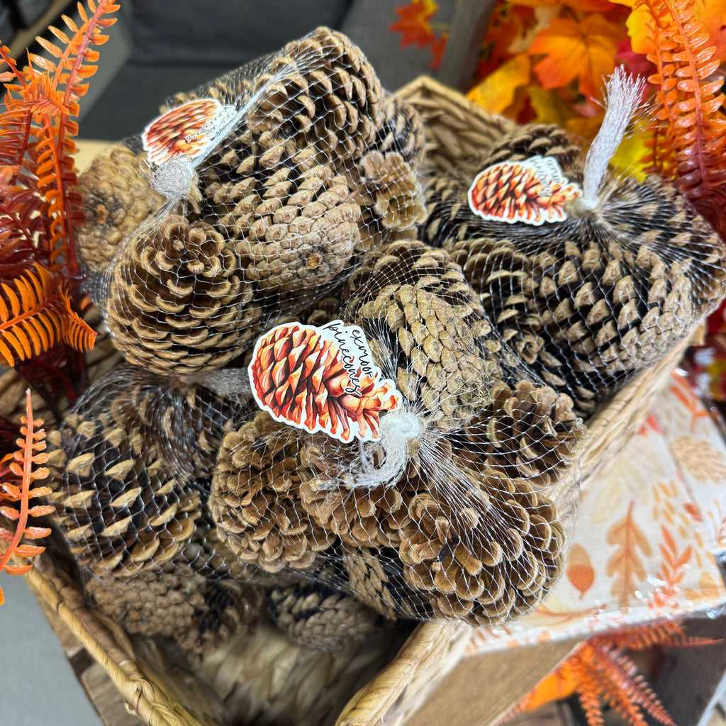 Exmoor Pinecone Nets