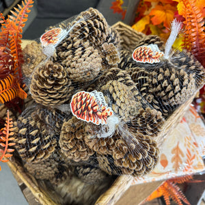 Exmoor Pinecone Nets
