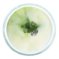 Coconut & Lime | Wax Melt