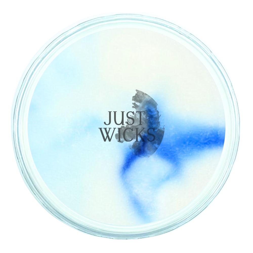 Ocean Waves | Wax Melt