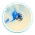 Aftersun | Wax Melt