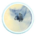 Blueberry Cream Swirl | Wax Melt