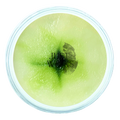 Cucumber & Melon | Wax Melt