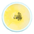Pineapple & Coconut | Wax Melt