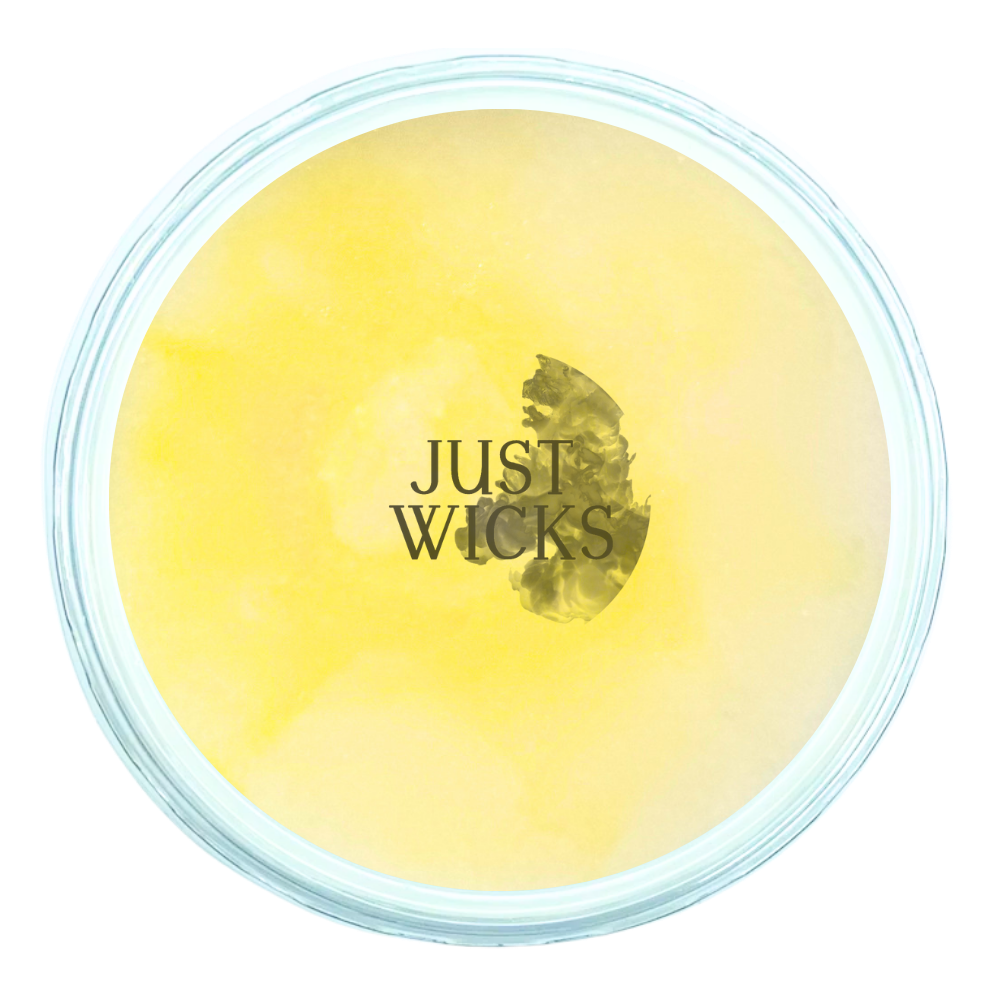 Pineapple & Coconut | Wax Melt