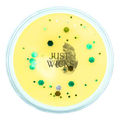 Sol De Citrus | Wax Melt