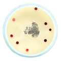 Candy Cane | Wax Melt
