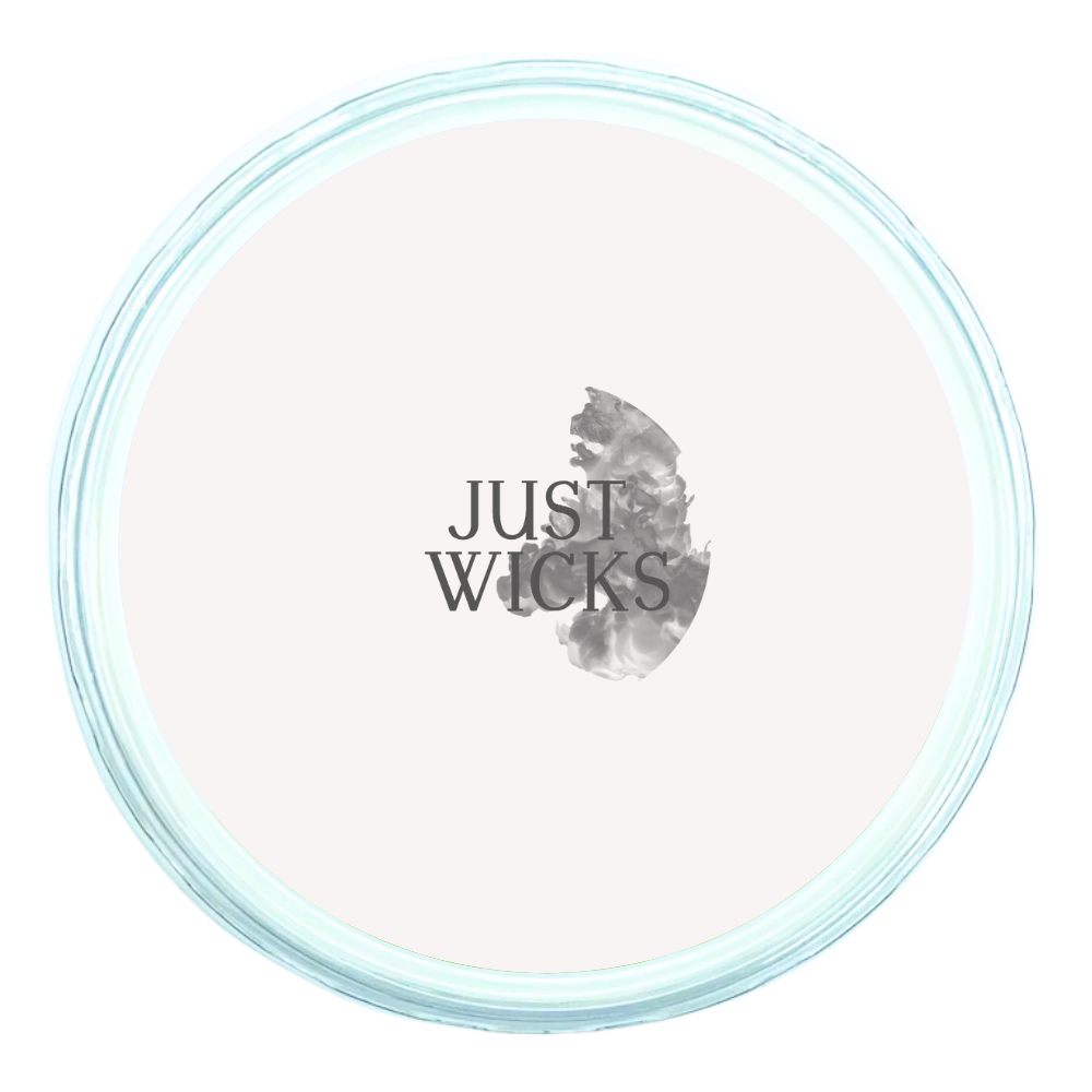 Coconut & Watermelon | Sample Sale Wax Melt