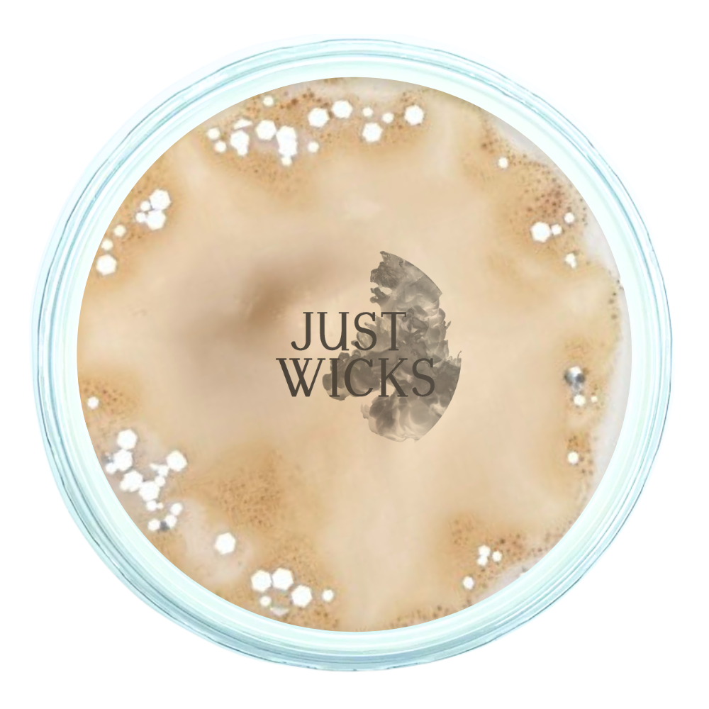 Baileys | Wax Melt