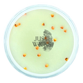 Fall Farmhouse | Wax Melt
