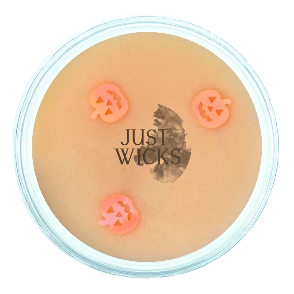 Pumpkin Spice | Wax Melt