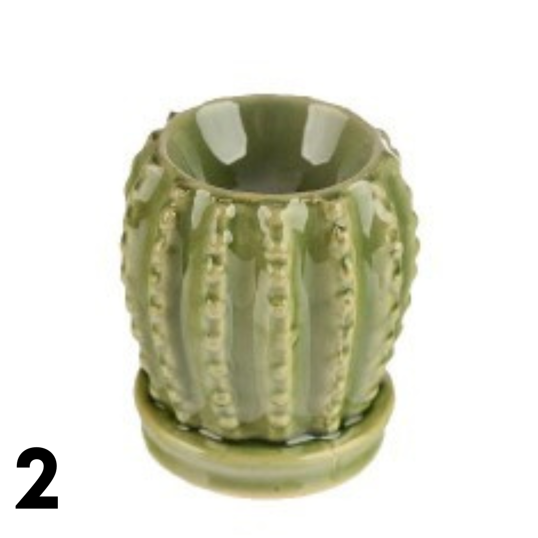 Mini Cactus/Succulent | Tealight Wax Burner